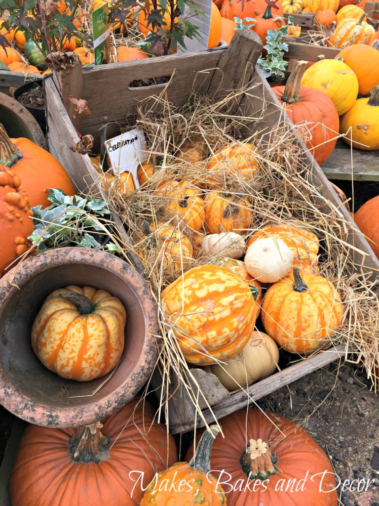 roast pumpkin soup 2