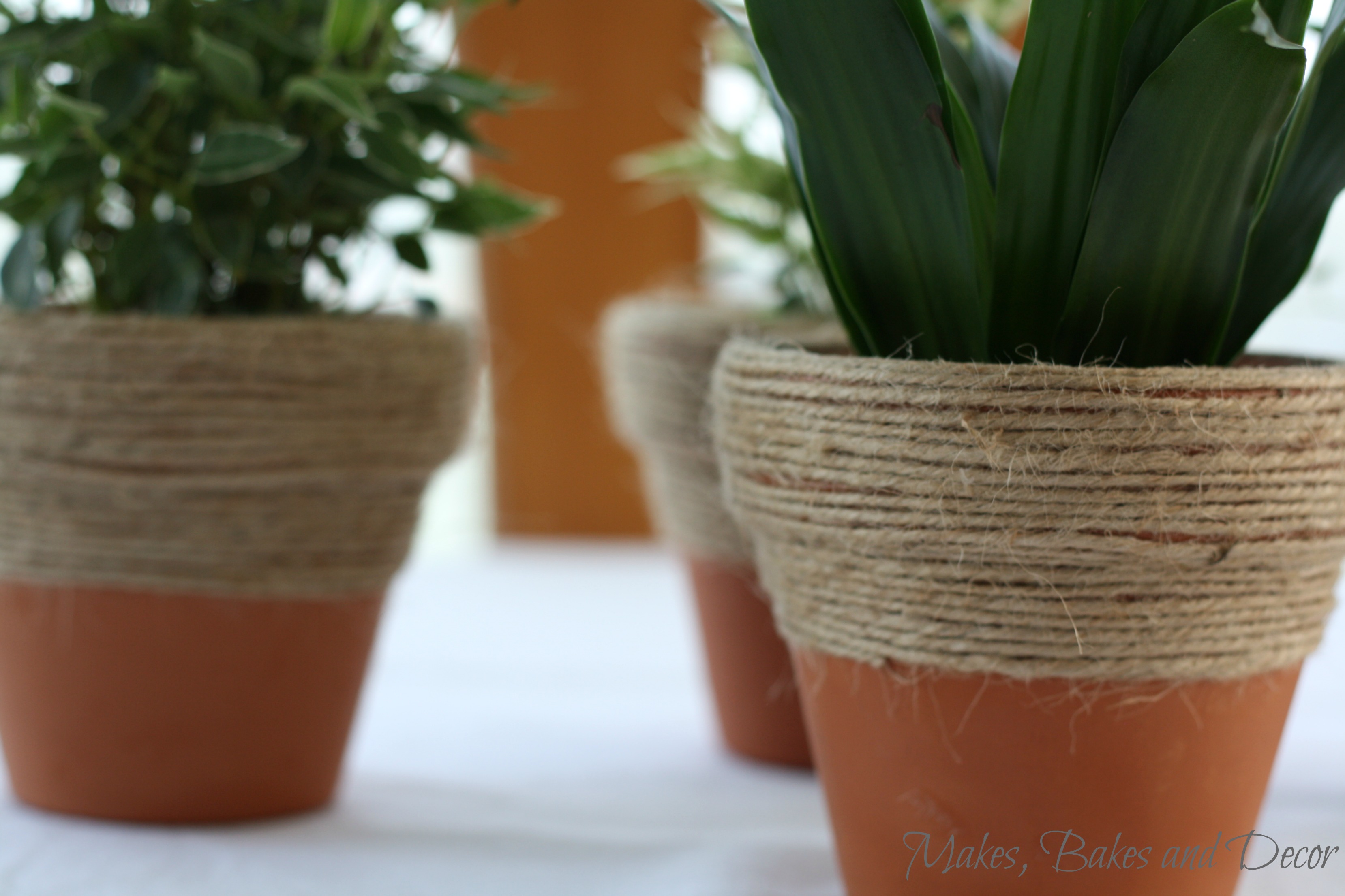 twine wrapped plant pots