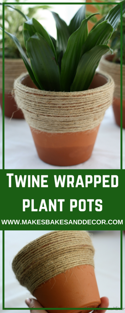 twine wrapped plant pots