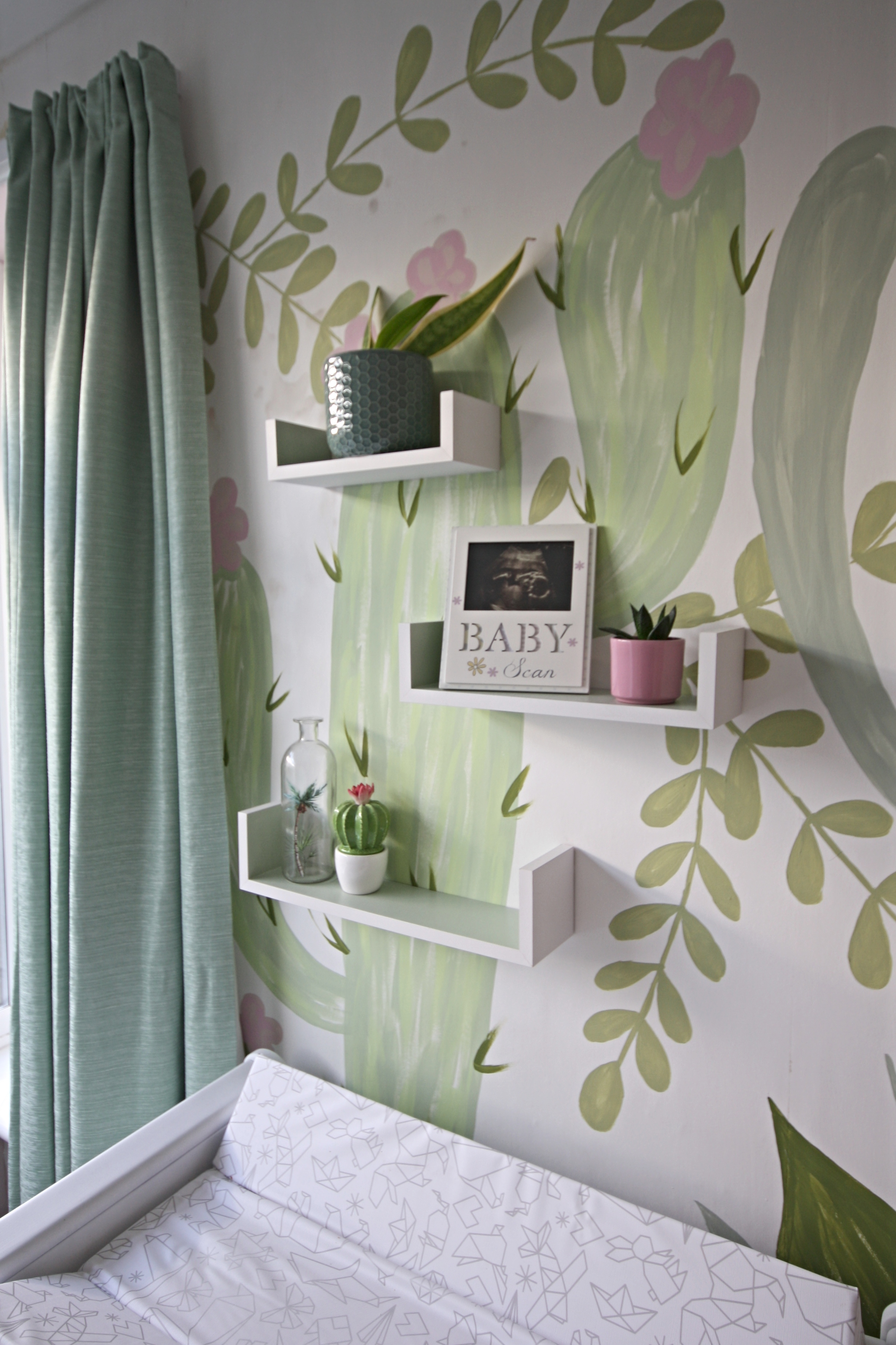 shelves in a pink and green cactus nursery