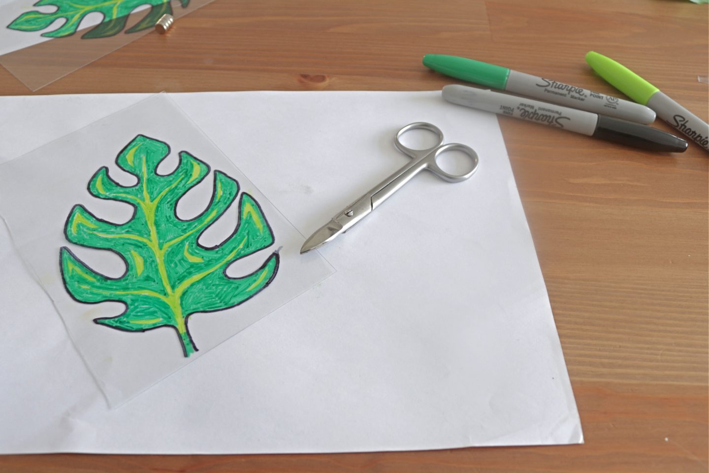 cutting out monstera leaf
