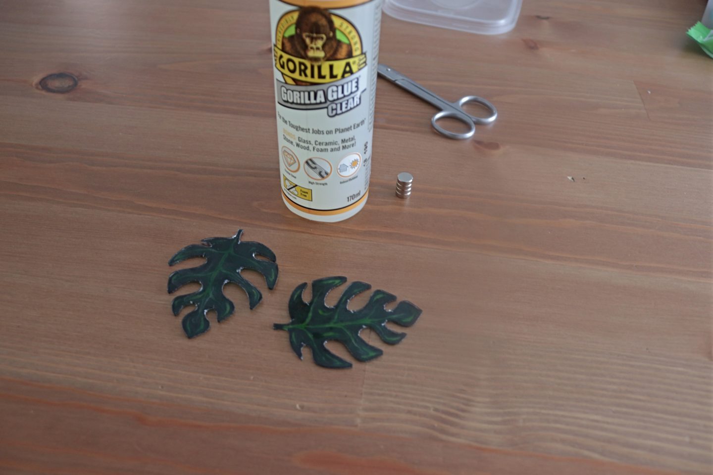 gluing monstera leaf to magnet