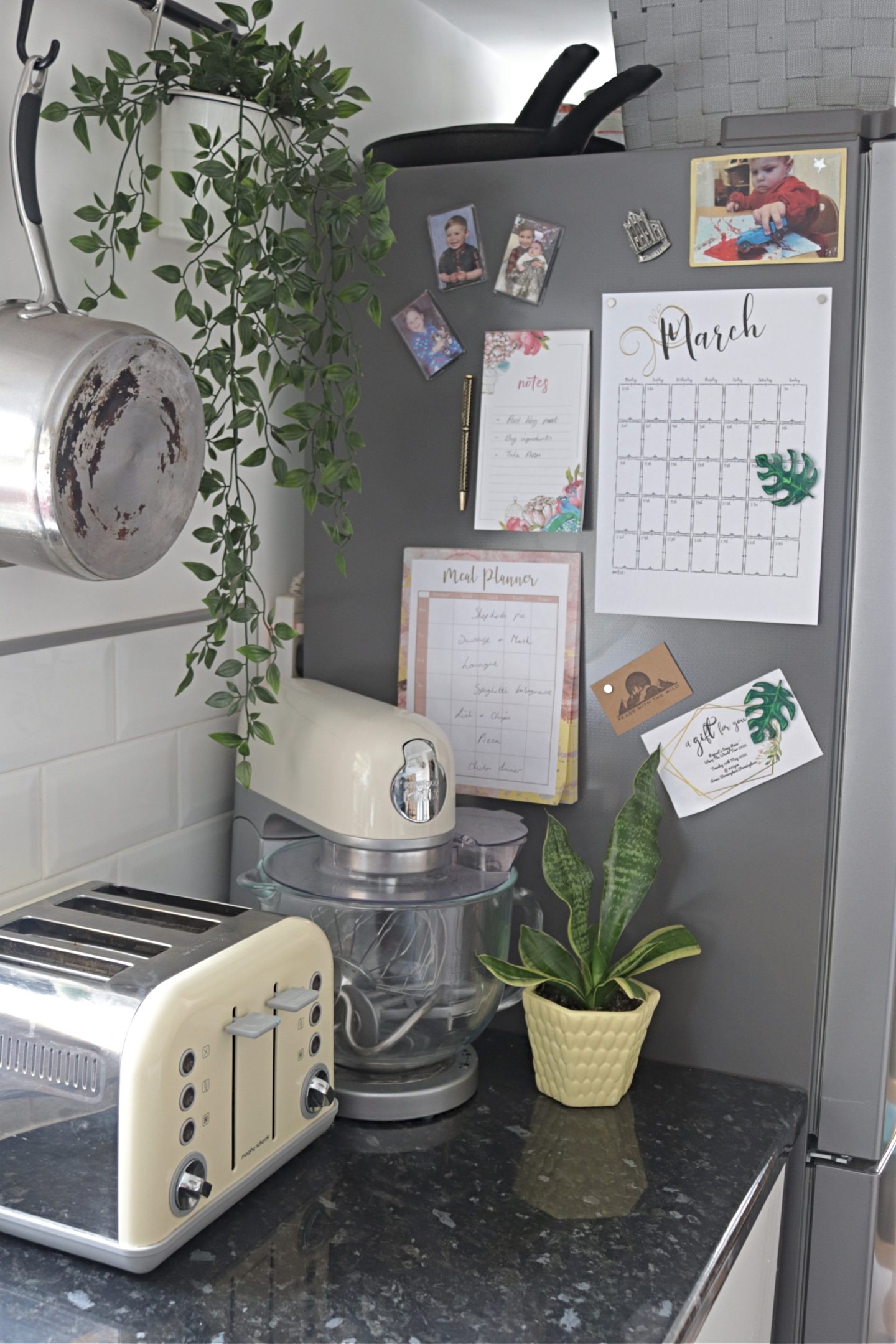 monstera leaf fridge magnets