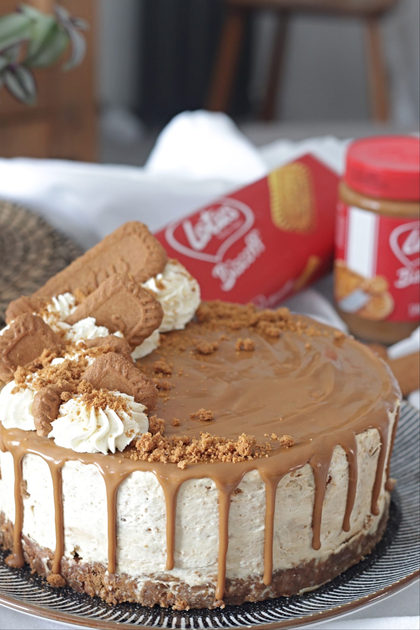 lotus biscoff cheesecake