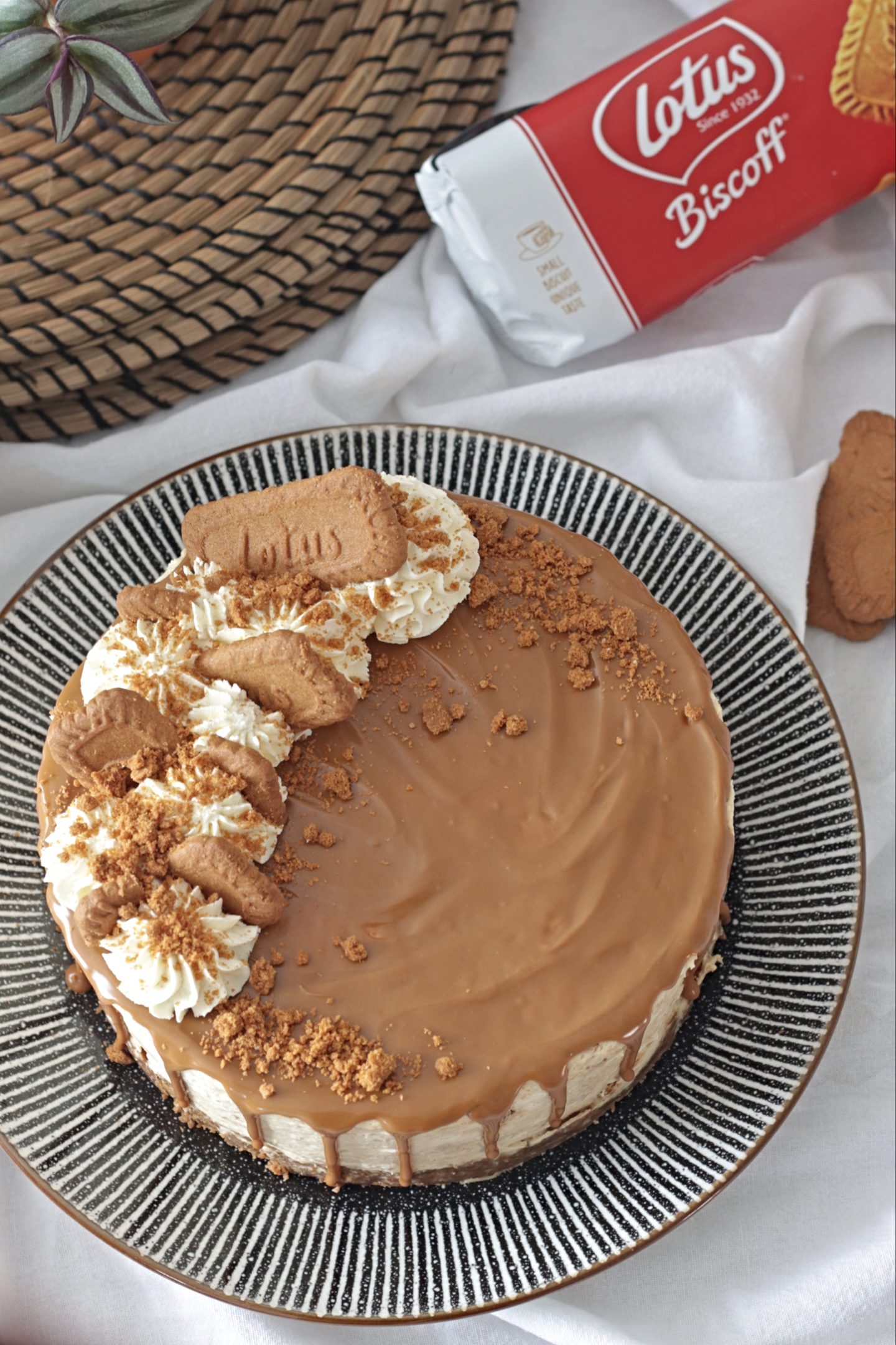 Lotus Biscoff Cheesecake Recipe