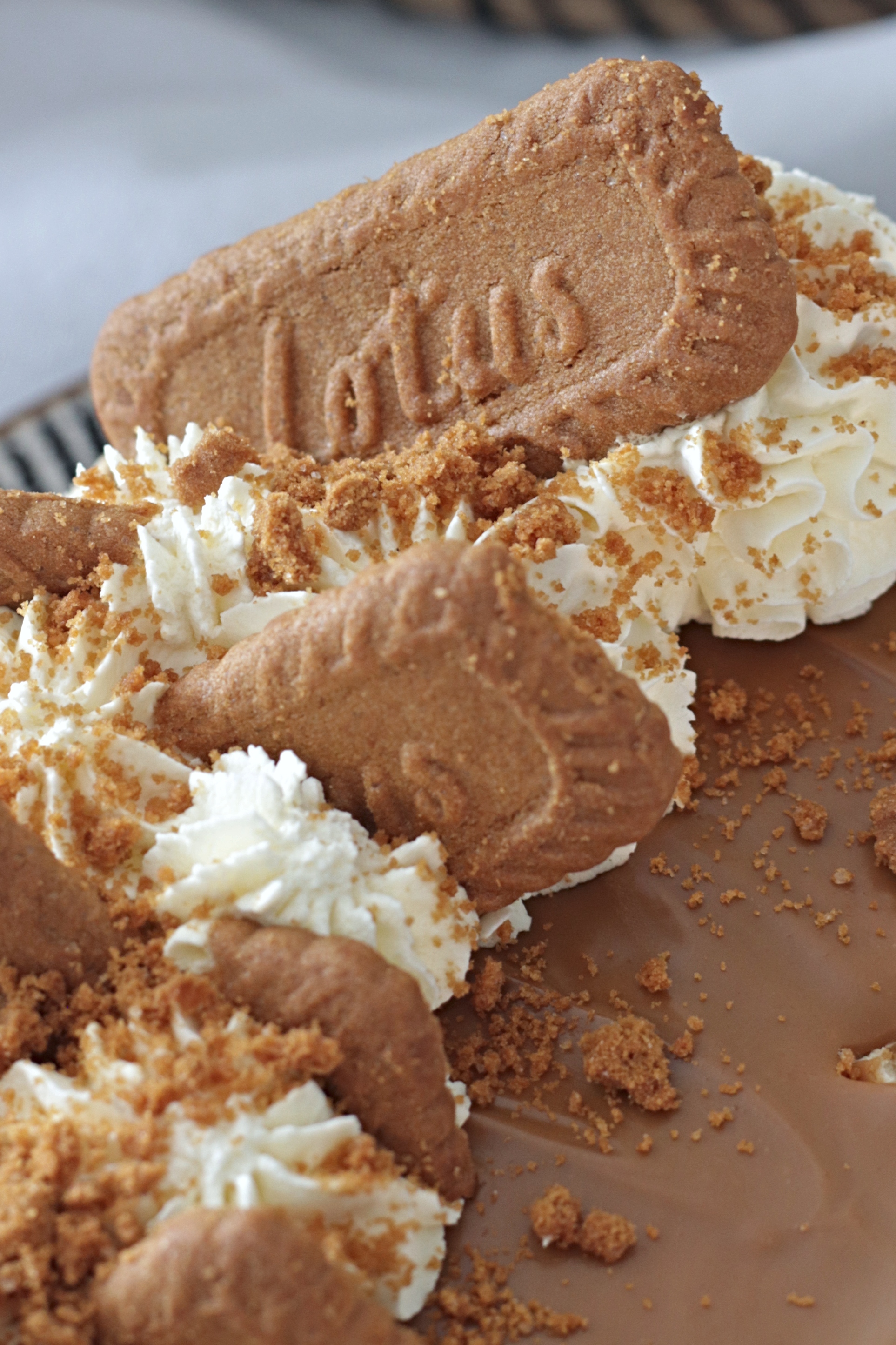 Lotus Biscoff Cheesecake Makes Bakes And Decor